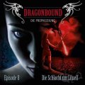 Dragonbound (8) - Die Schlacht um Liluell
