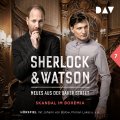 Sherlock & Watson – Neues aus der Baker Street (Fall 7)