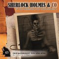 Sherlock Holmes & Co. 43 - Der Rachegeist von Sing Sing