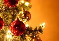 Weihnachten: Das Fest der Feste